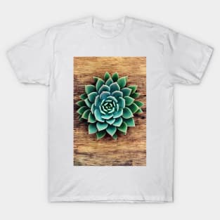 Succulent plant T-Shirt